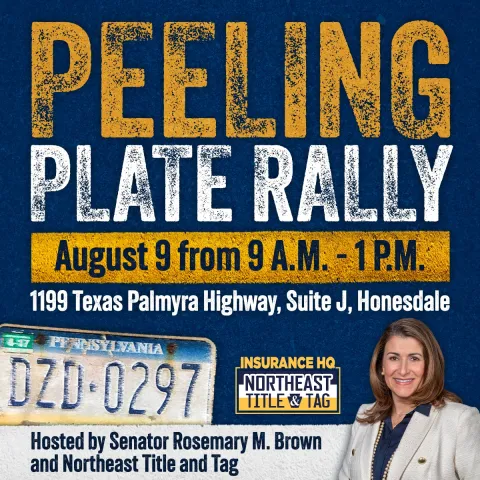 peeling plate rally