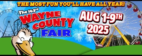 wayne fair